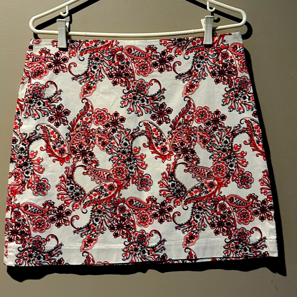 Beautiful Paisley Skirt